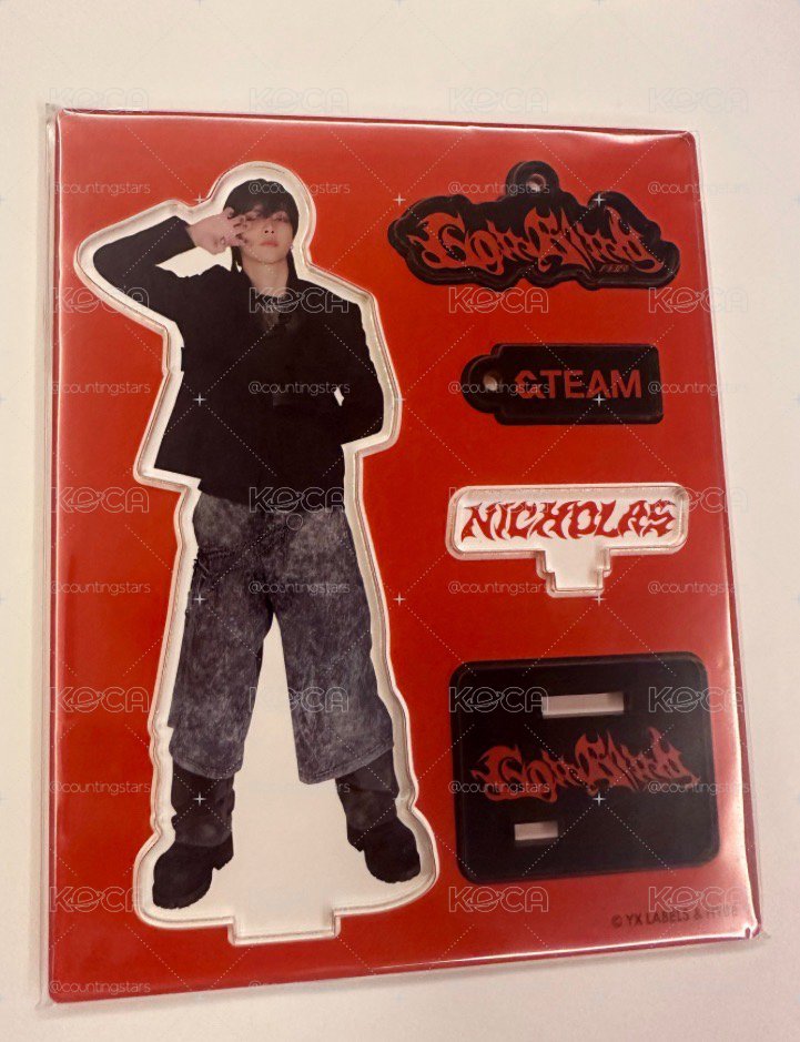 &TEAM Go In Blind 立牌 NICHOLAS 
