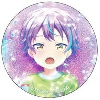 細閃 vol.13 A 徽章 煉金花前