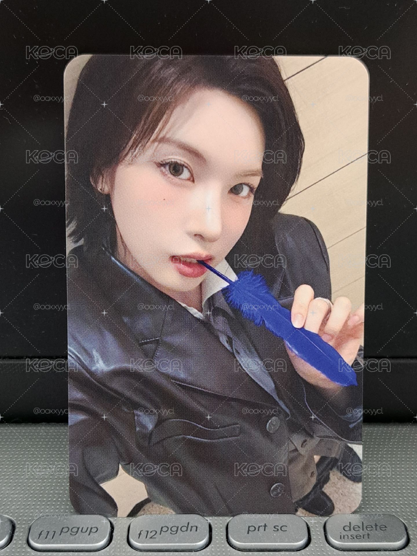 藍情 ms 藍羽毛裴