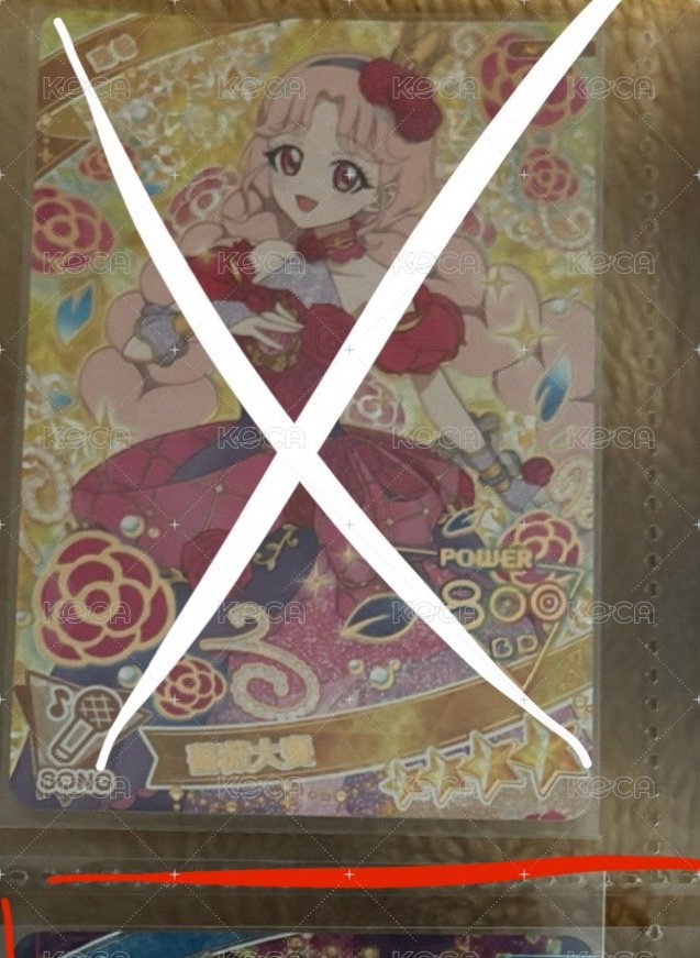 珠希（預定）