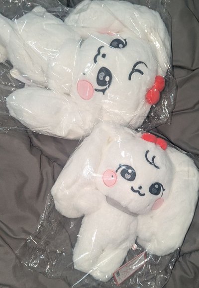 員