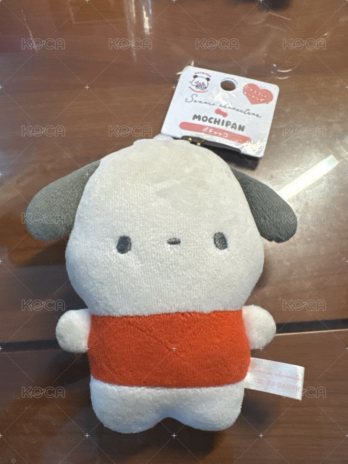 帕恰狗豆豆眼