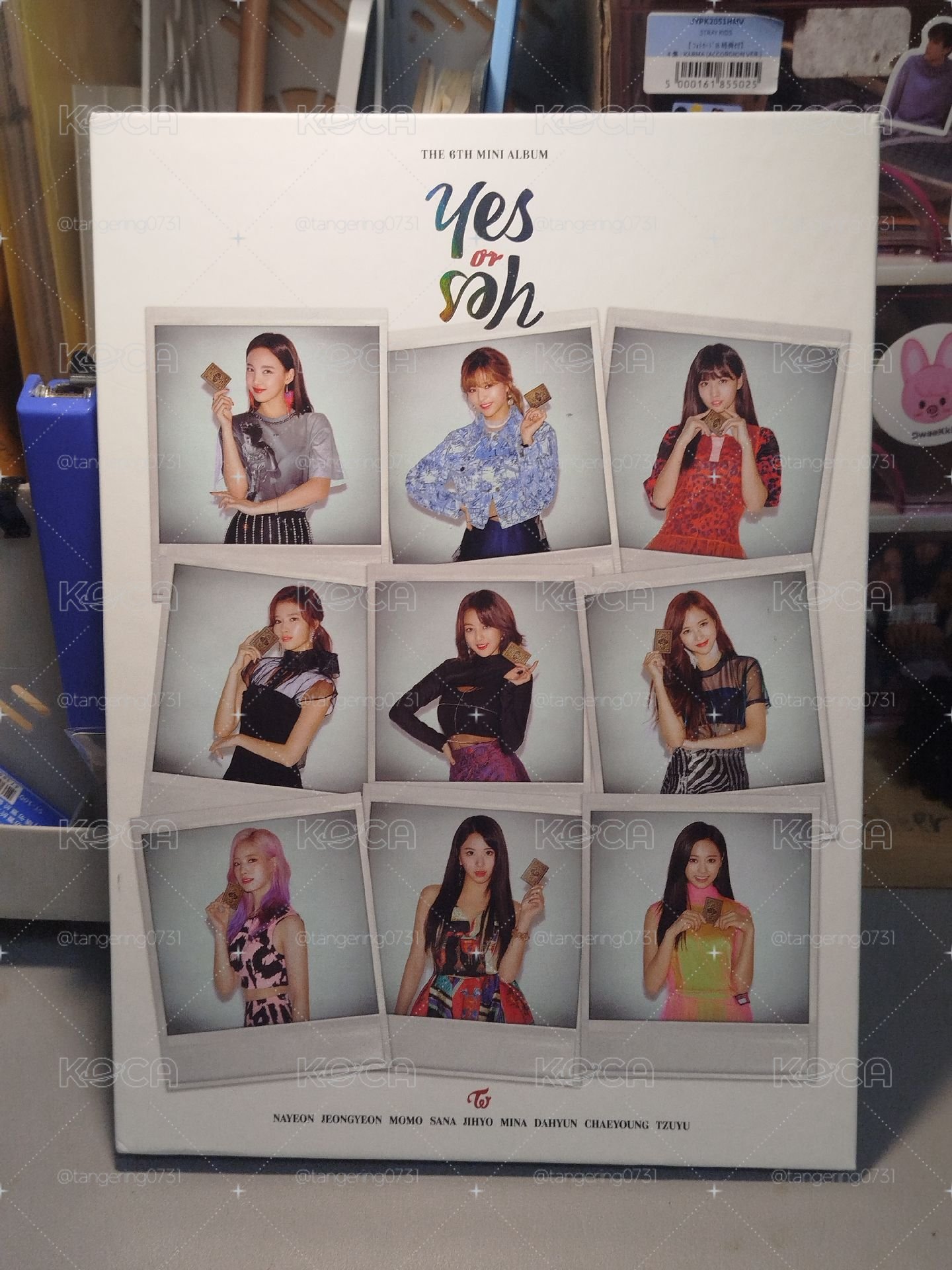 YES OR YES空專白 娜璉