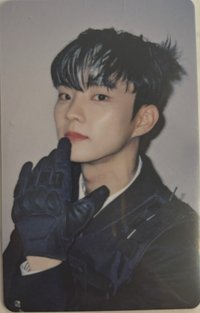 Maverick 專輯卡 