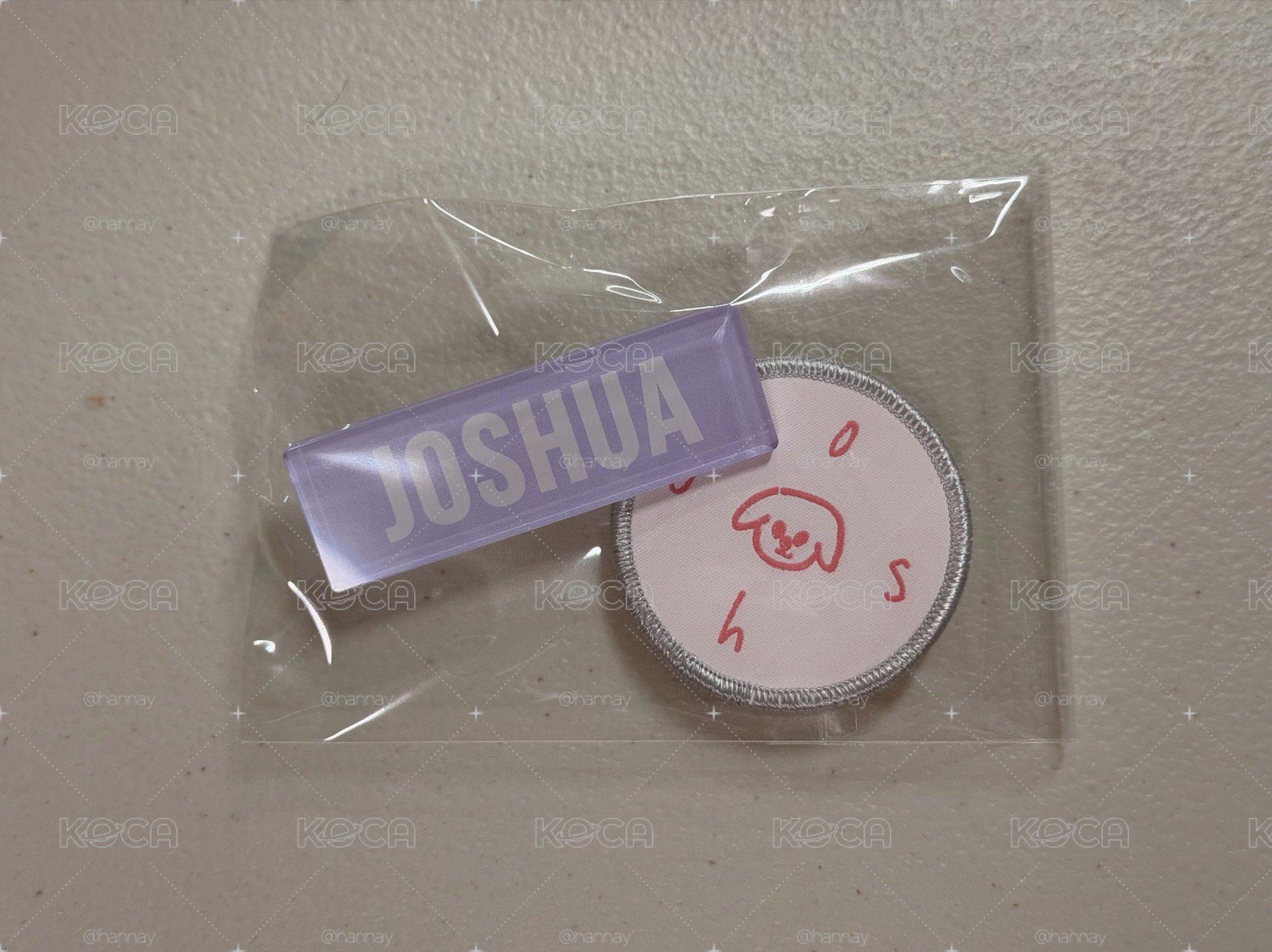 SEVENTEEN JOSHUA 尹淨漢 2020 Japan dome tour布章