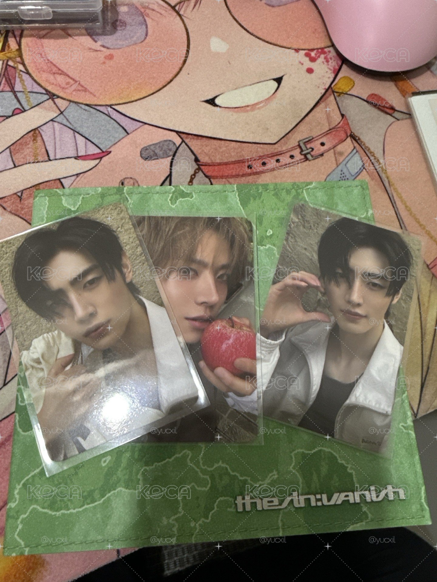 迷七訓單封+wvs特典