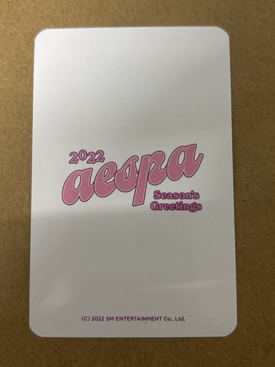 aespa Winter 冬天 22年曆 周邊卡 後續 照片組冬 冬-91
