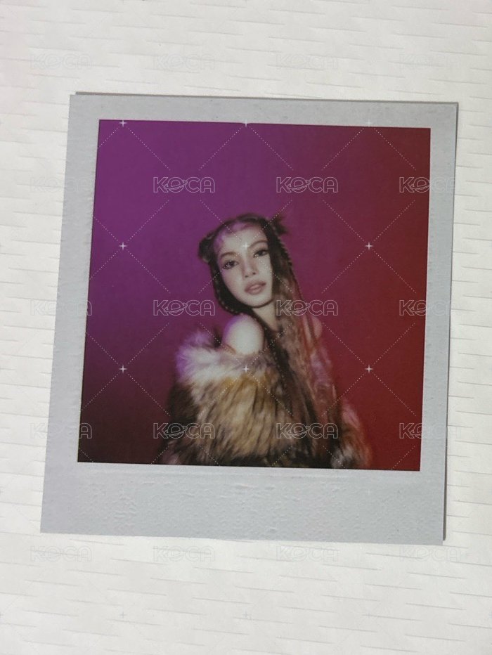 ✨LALISA 毛草拍立得莎