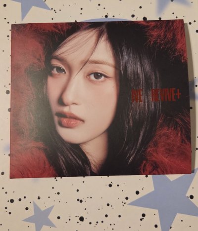 瑞 小盤