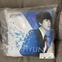 SS5 抱枕 