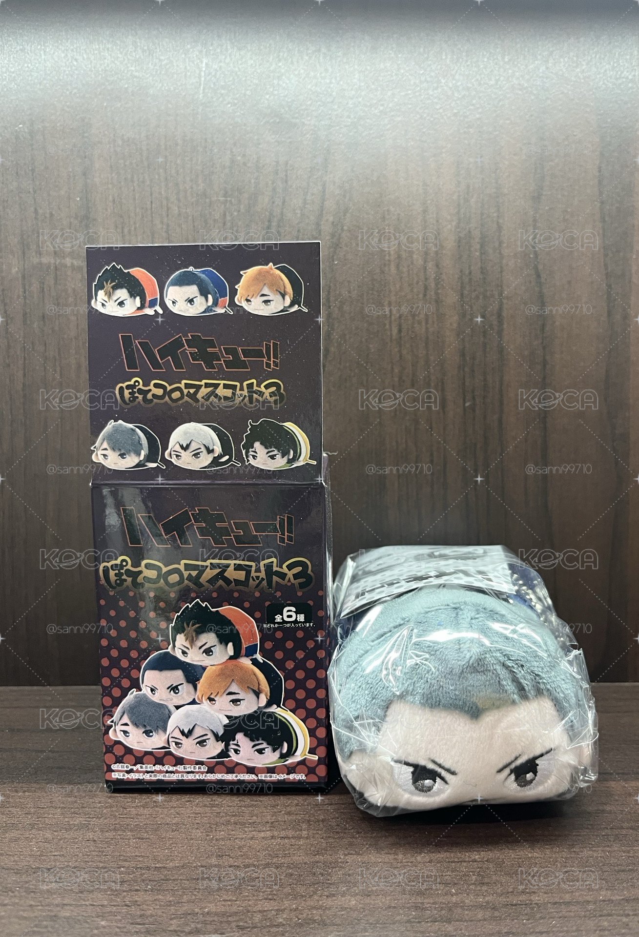 排球少年 田中趴娃