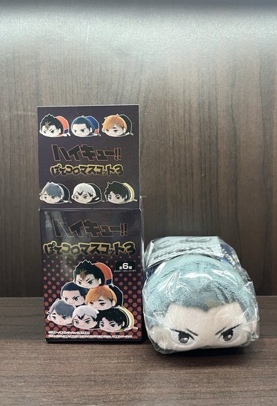 排球少年 田中趴娃