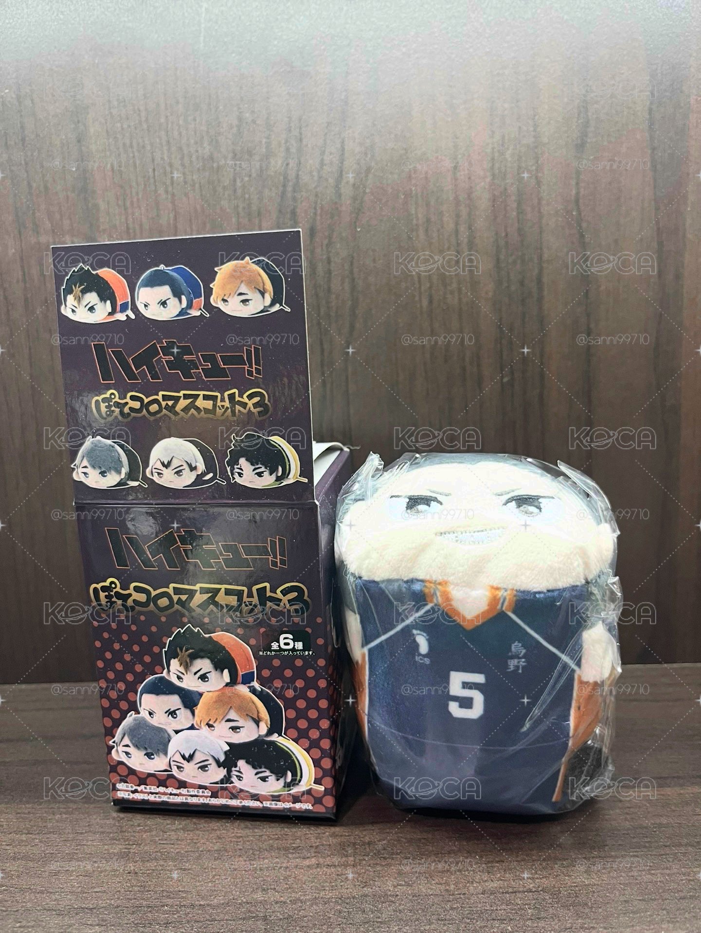 排球少年 田中趴娃
