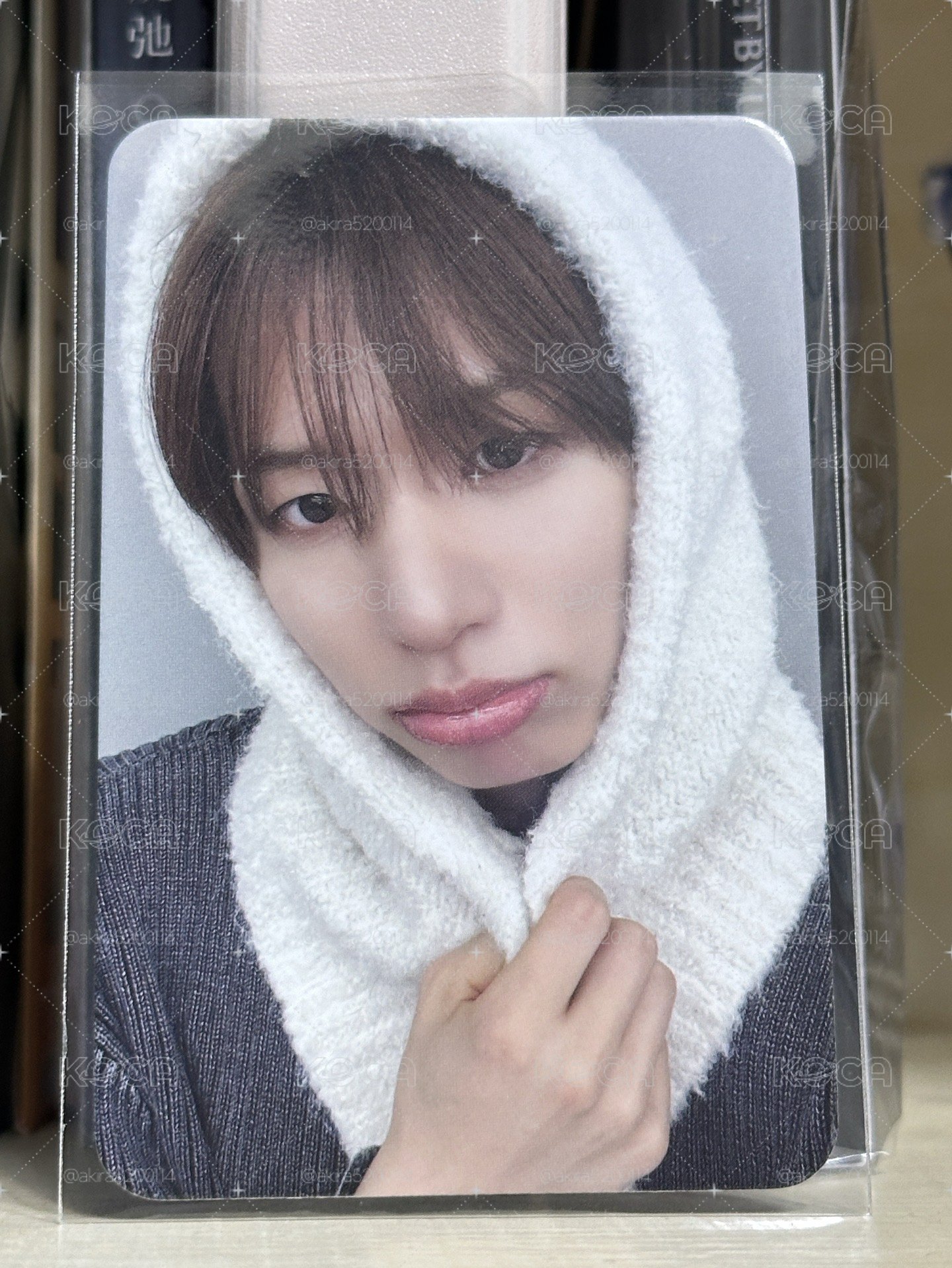 文成俊🦢 SET BY US ONLY hello82 特典卡 Fluffy ver.
