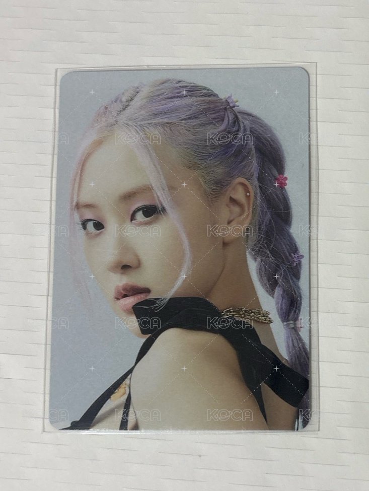 The Album 日專C肉
