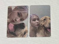 The Album 狗狗肉橫+直