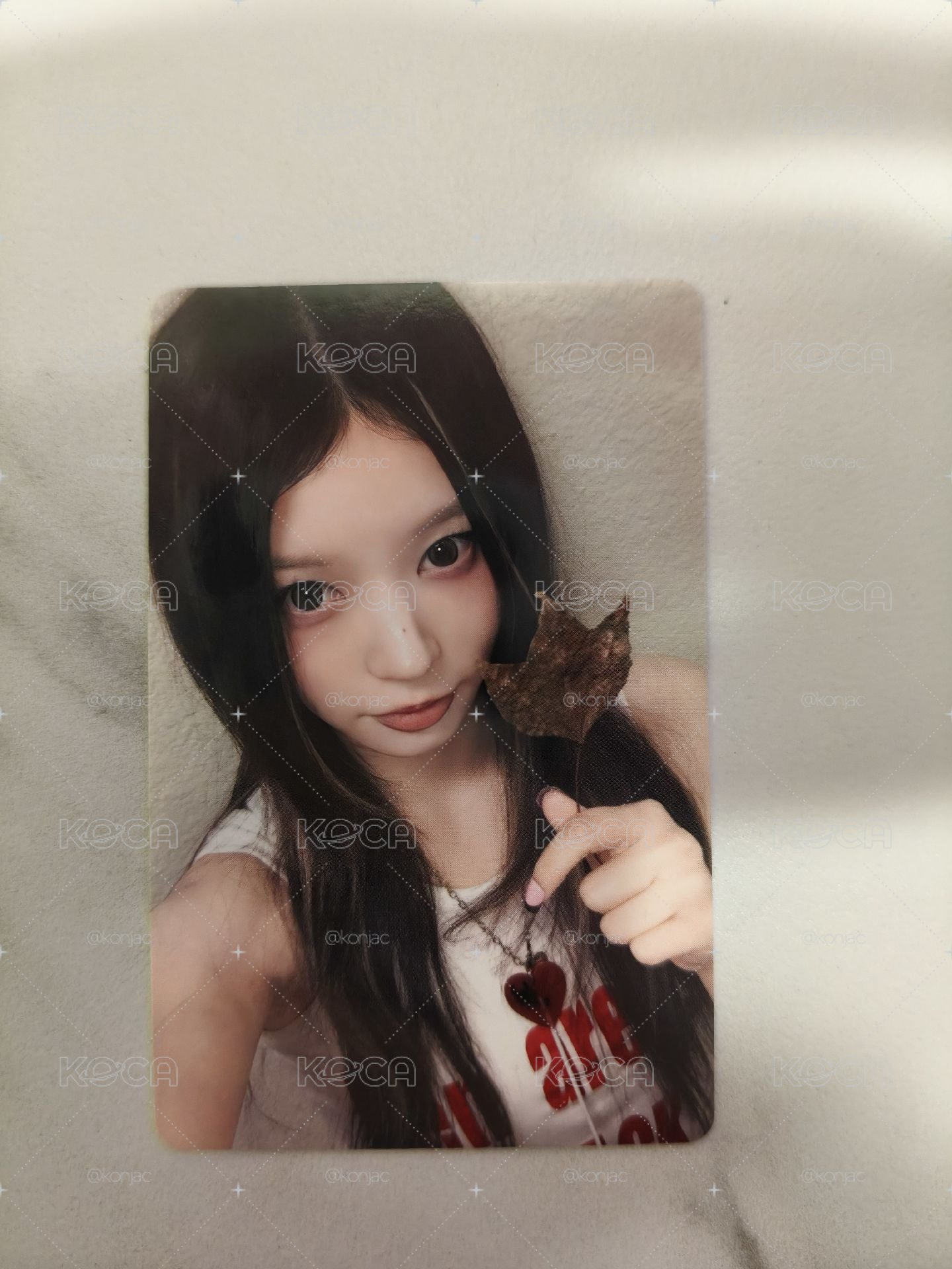 🔴NOT CUTE ANYMORE yzy 特典卡 楓葉ver.