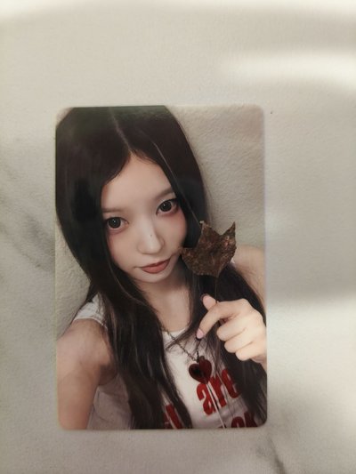 🔴NOT CUTE ANYMORE yzy 特典卡 楓葉ver.