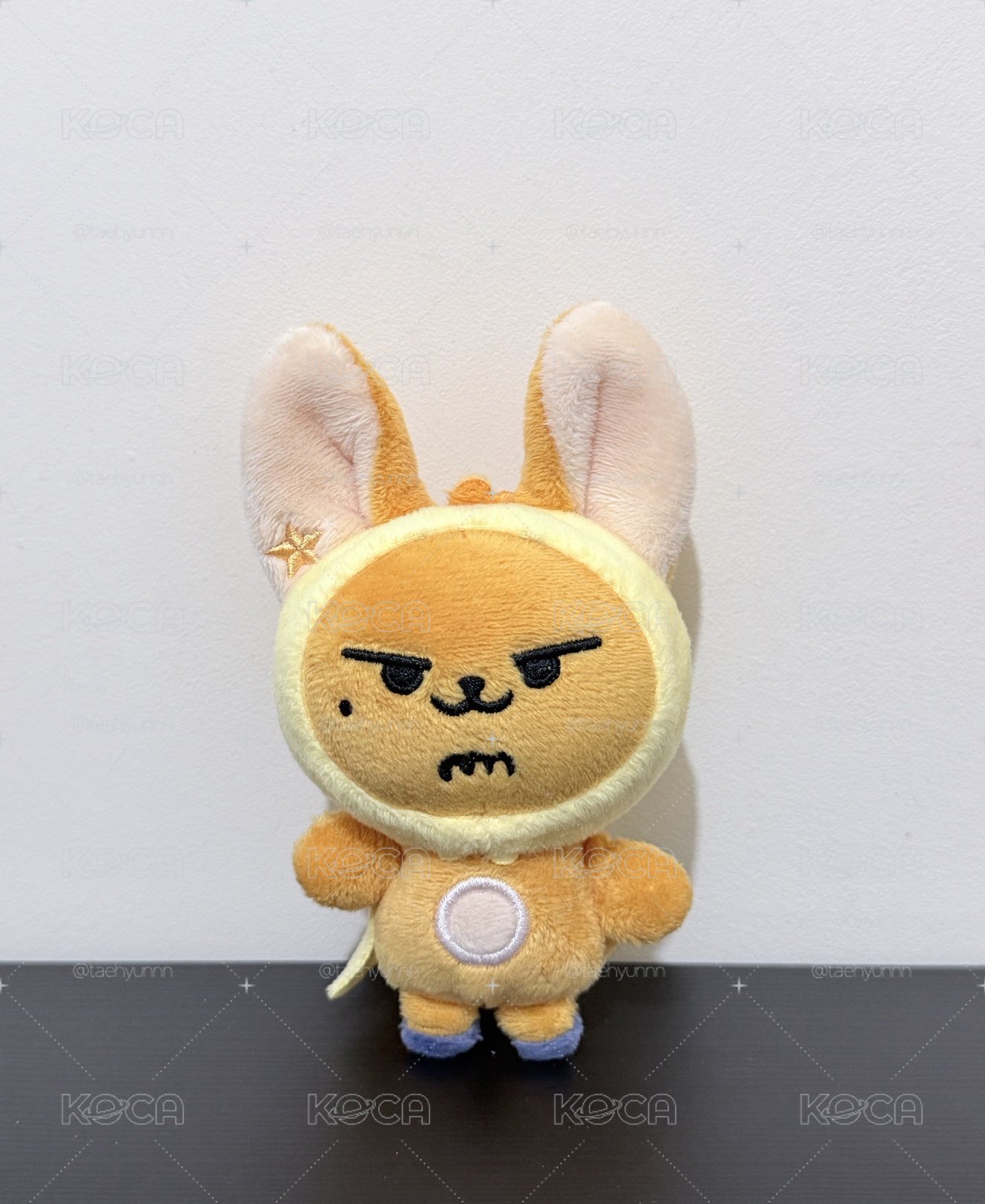 原皮黃春🦊💛 有原袋