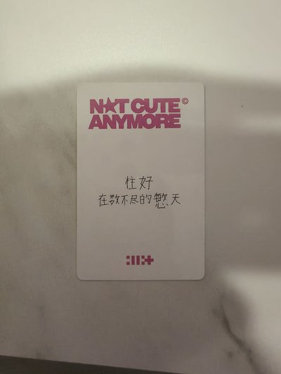 🔴NOT CUTE ANYMORE yzy 預售2.0 特典卡 