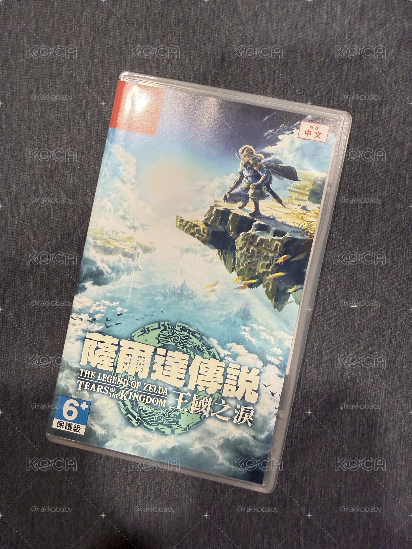 NS1 薩爾達傳說 王國之淚