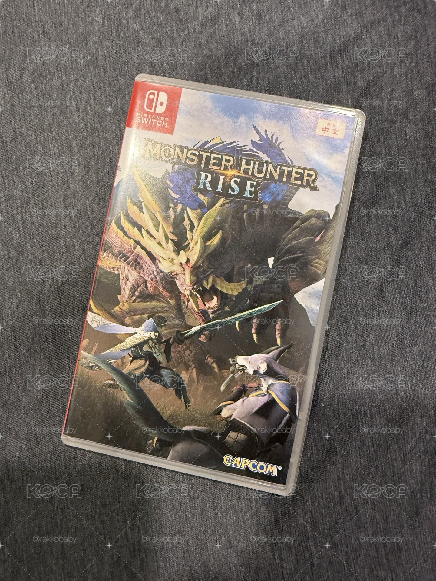NS1 魔物獵人 崛起