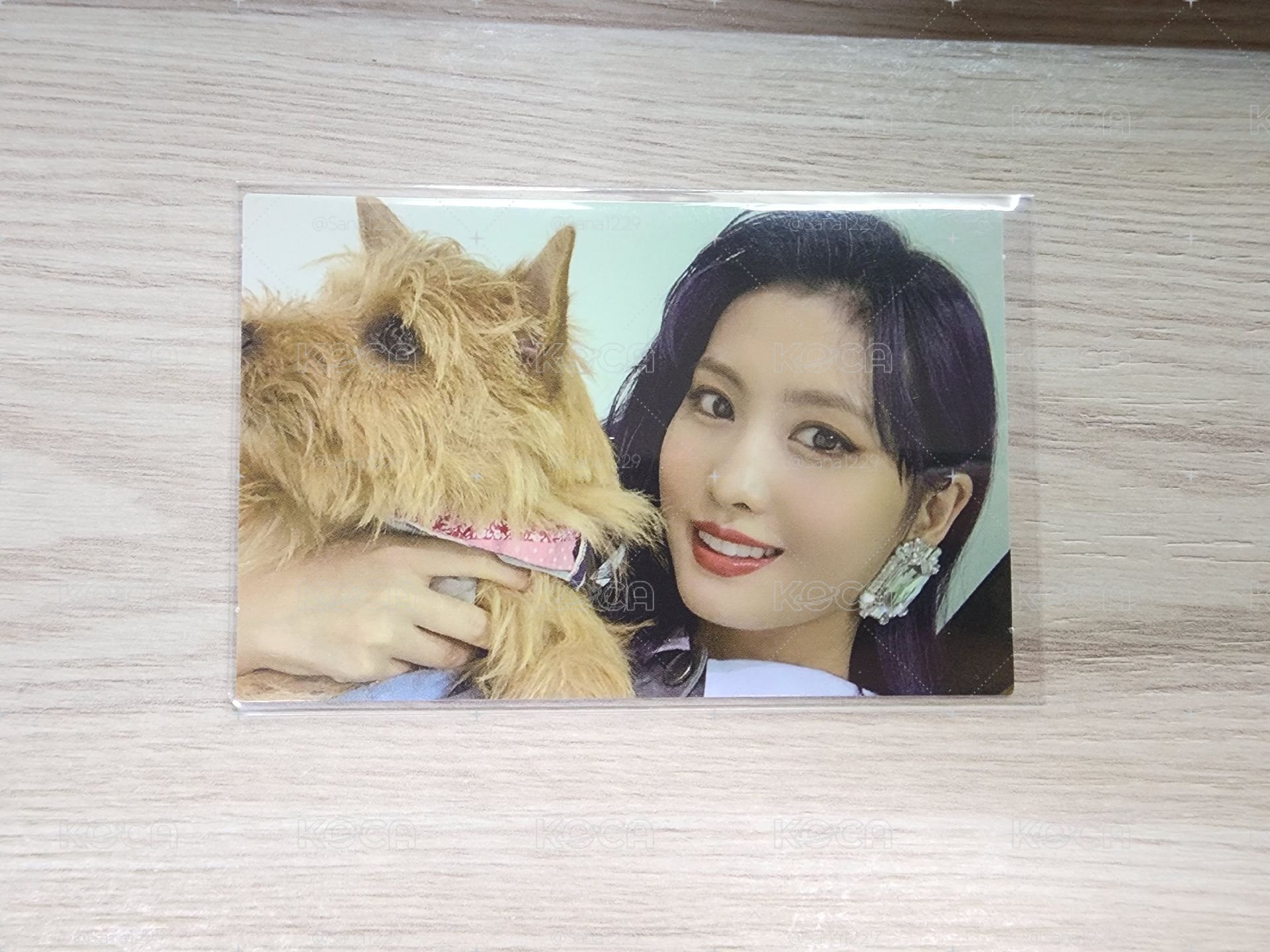 平井桃🍑和BOO🐶
