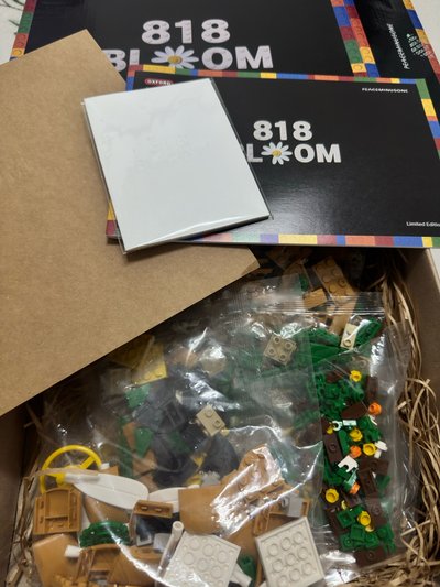 GD 818 BLOOM 聯名積木 僅拆檢 附贈手燈掛繩