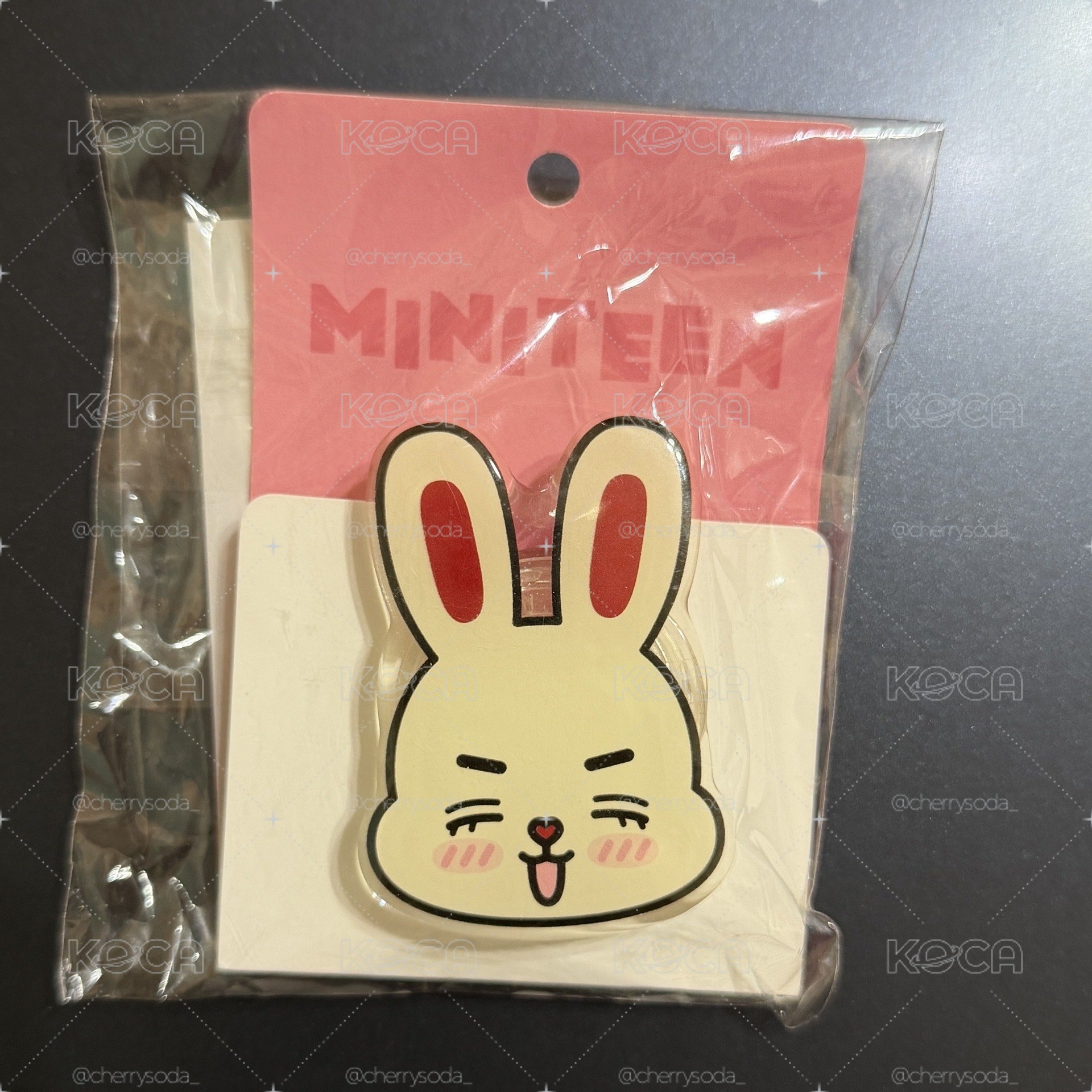 MINITEEN 手機支架（請看說明！）