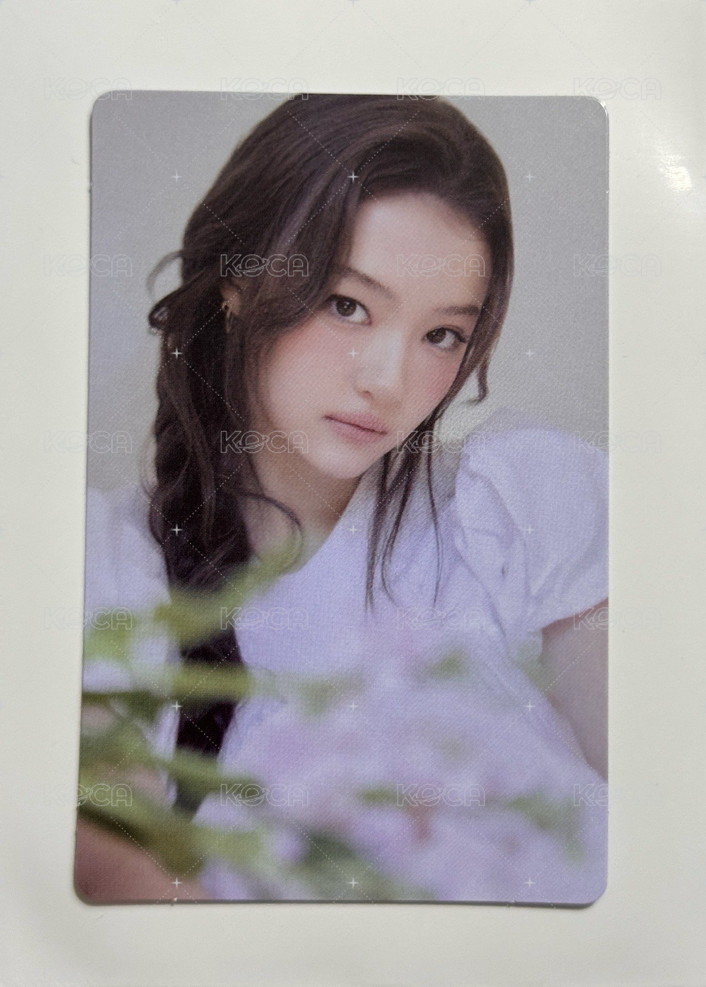 𝗘𝗟𝗟𝗔右