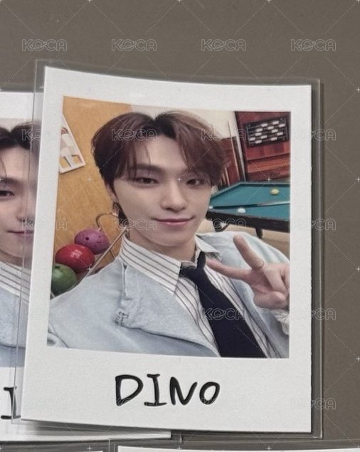 DINO 比✌🏻