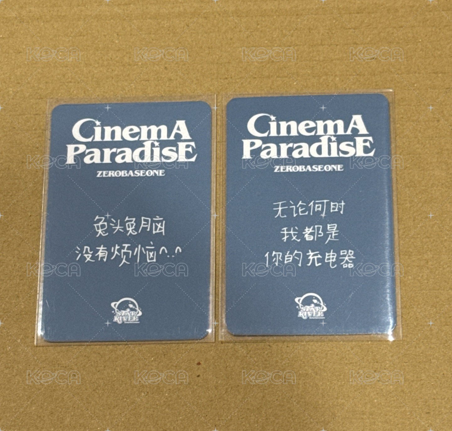 七夕玫瑰（中背）
