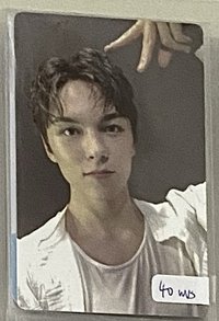 迷12 wvs