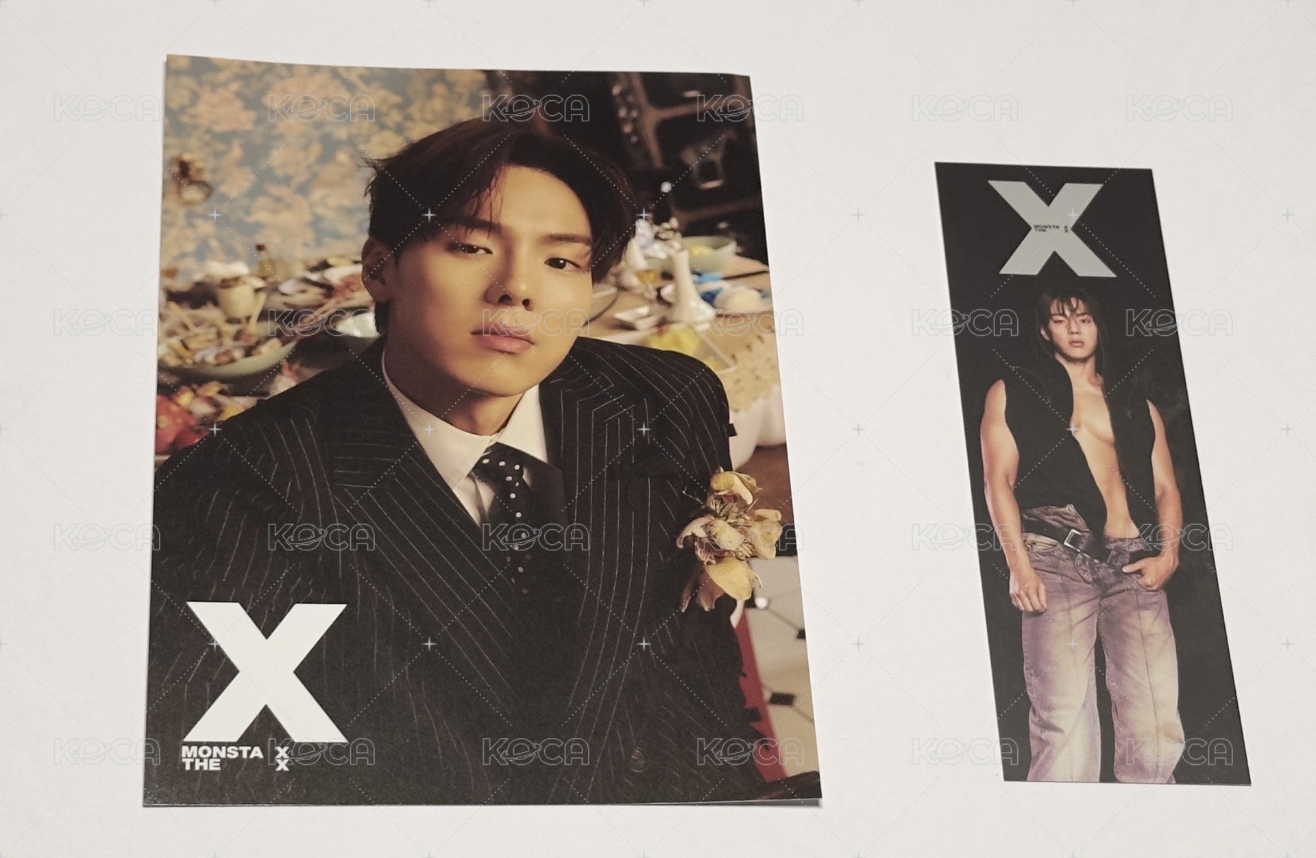 🐻