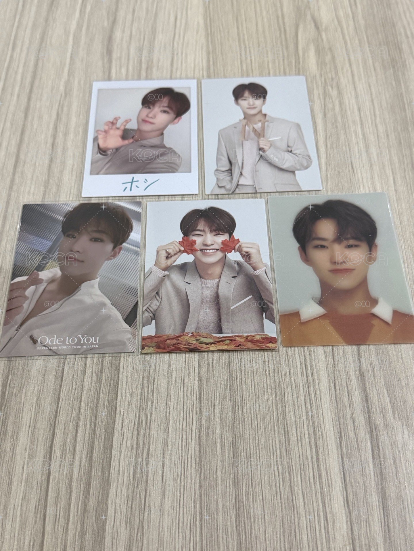 seventeen 順榮 隨機卡 日本
