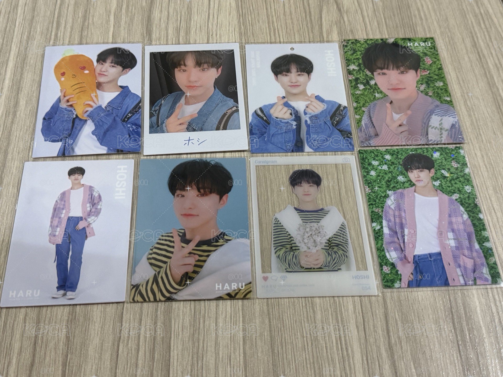 seventeen 順榮 隨機卡 日本