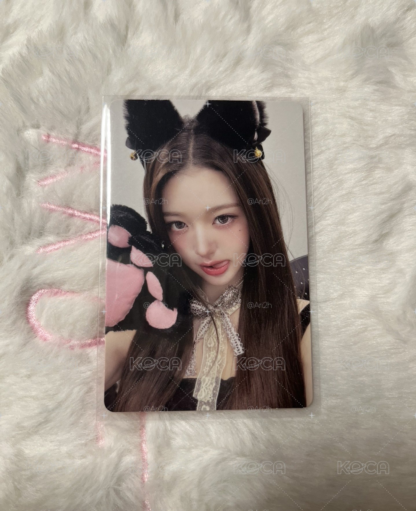 貓爪🐰