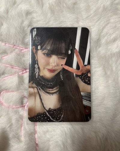 好多員🐰
