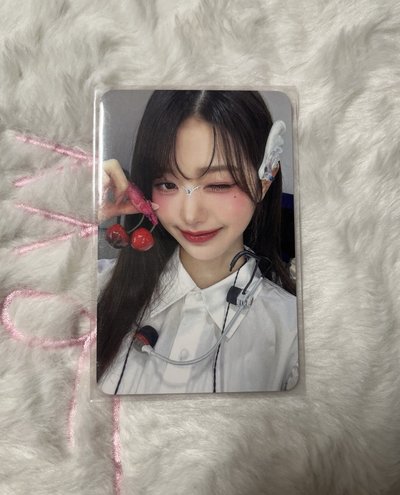 好多員🐰