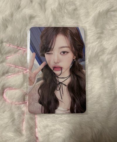 好多員🐰