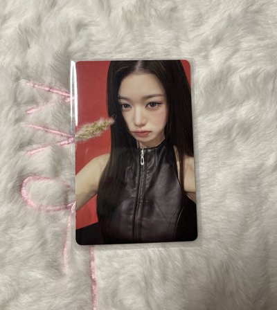 好多員🐰