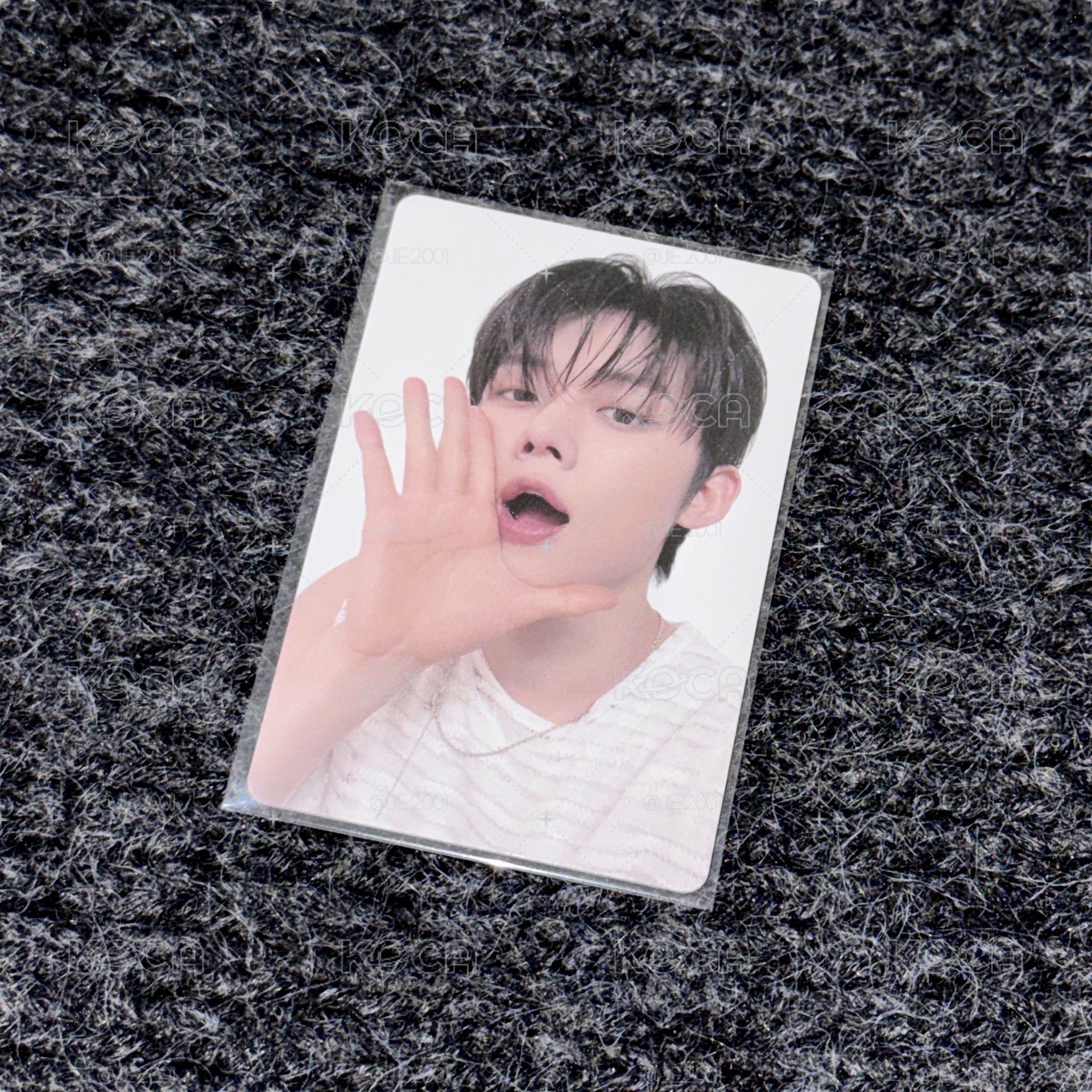 崔小嘟say hello🦊