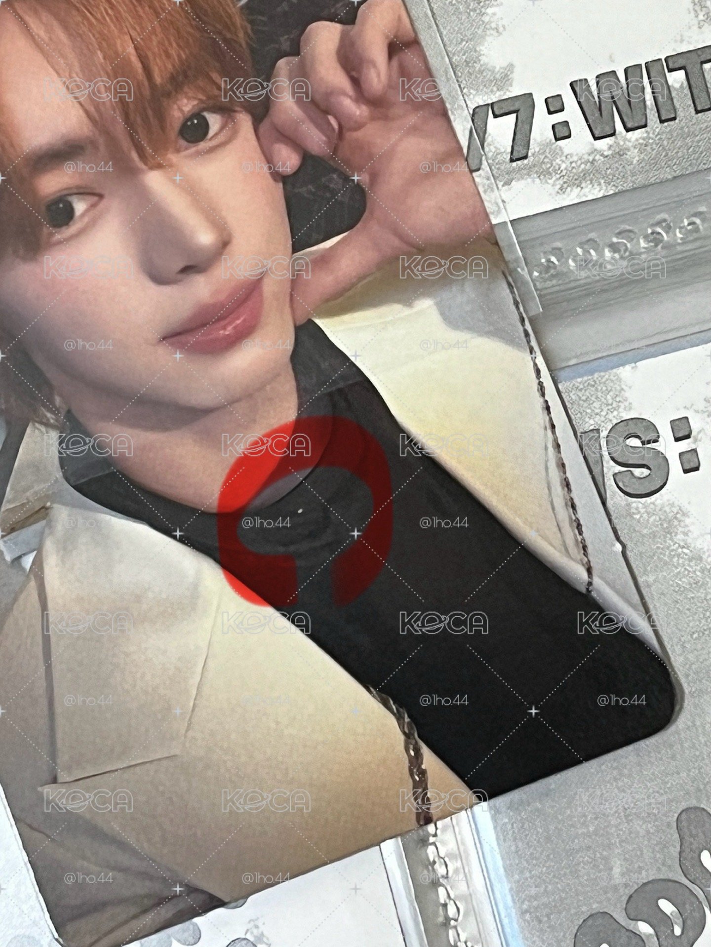 TWS • wvs3.0ld含綁 🐰