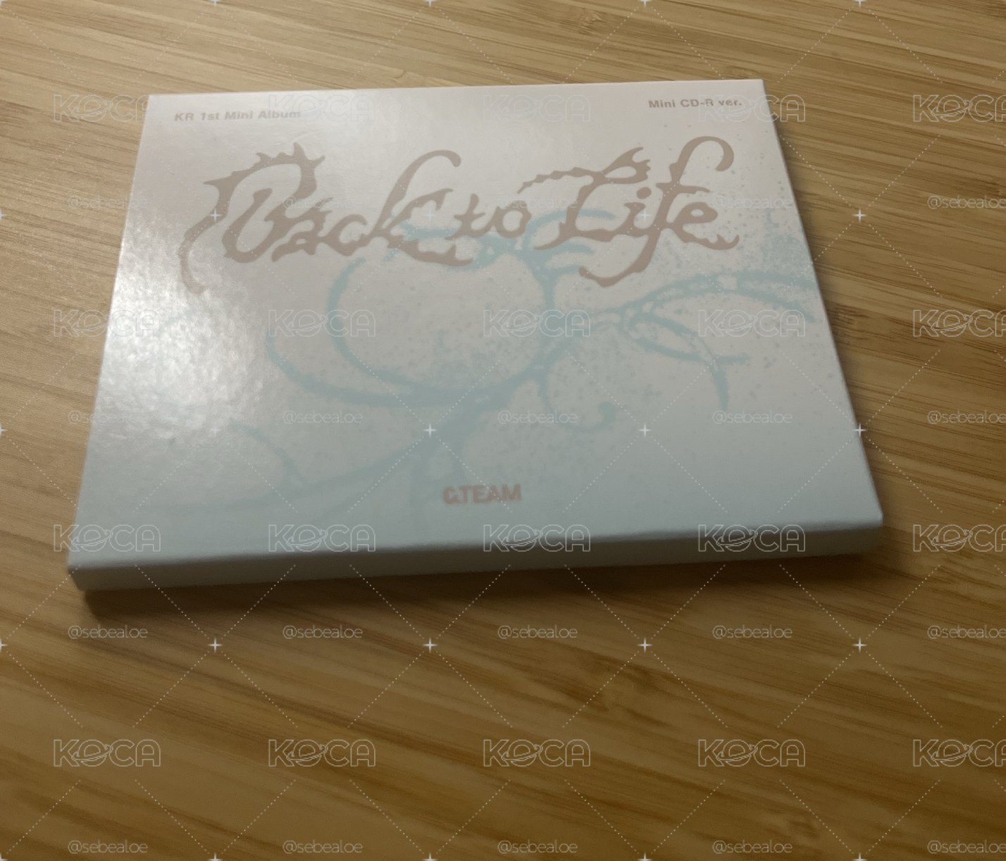 back to life mini CD 