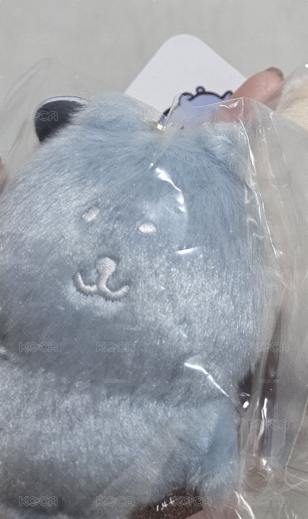 韓國自嘲熊 藍