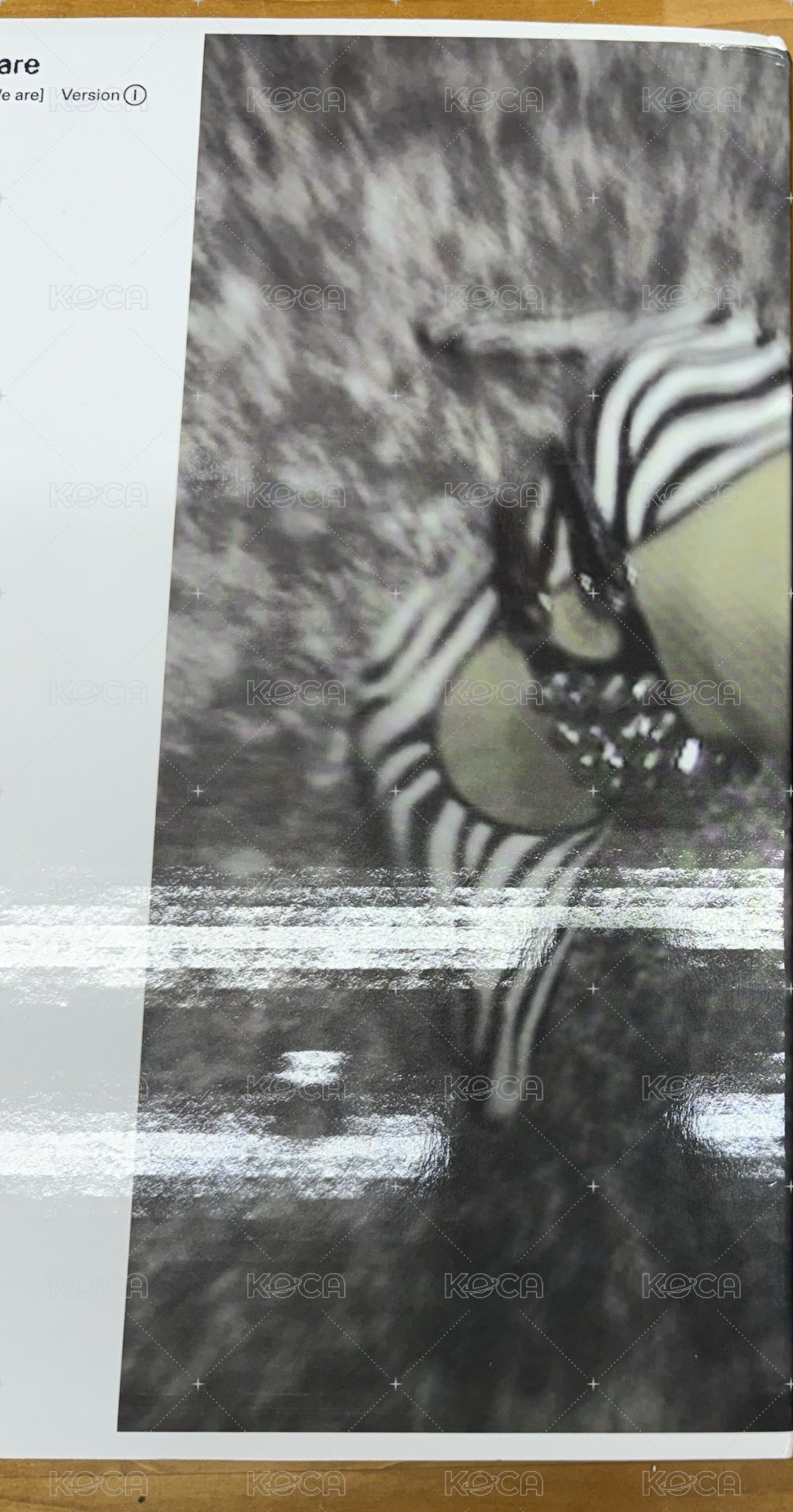 we are空專