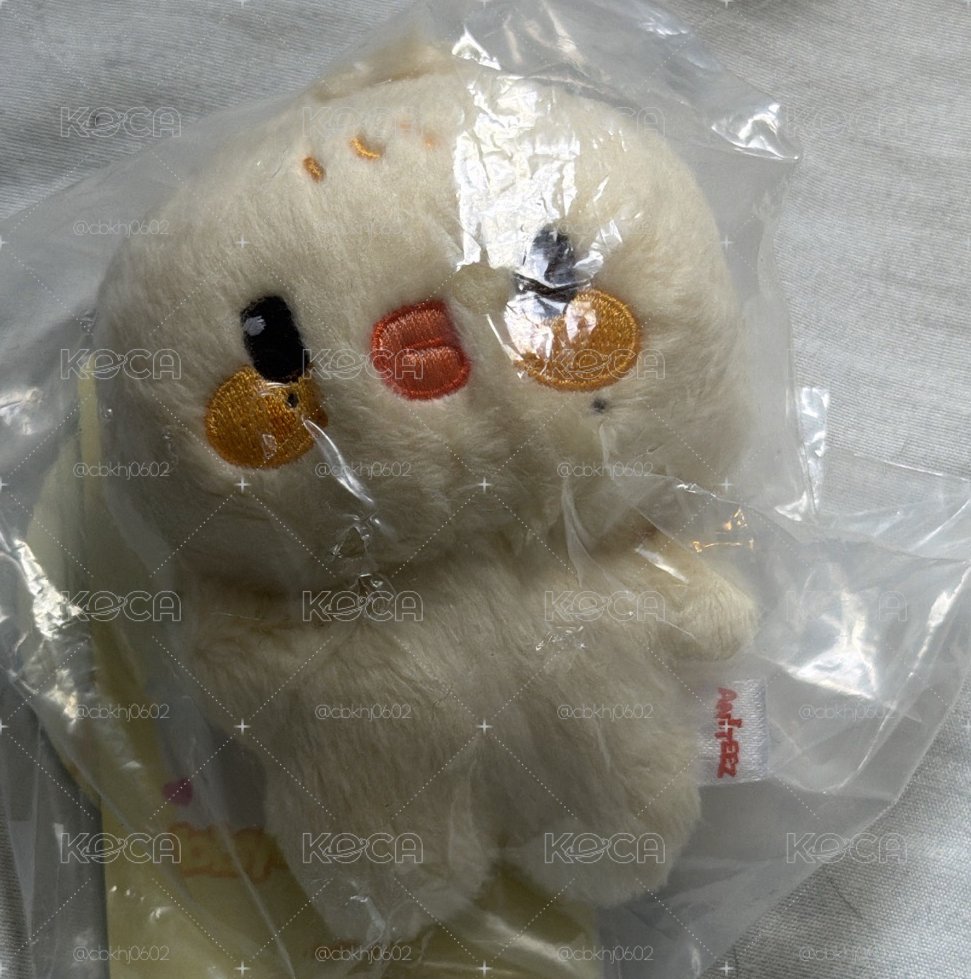 寶寶娃 琦 全新未拆含卡