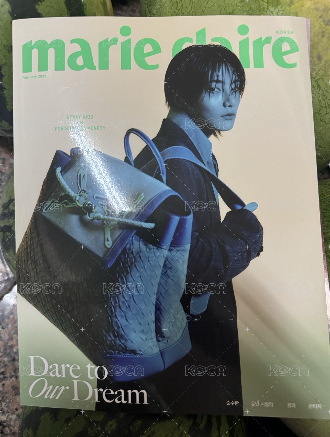 揹上行囊，想與妳浪跡天涯