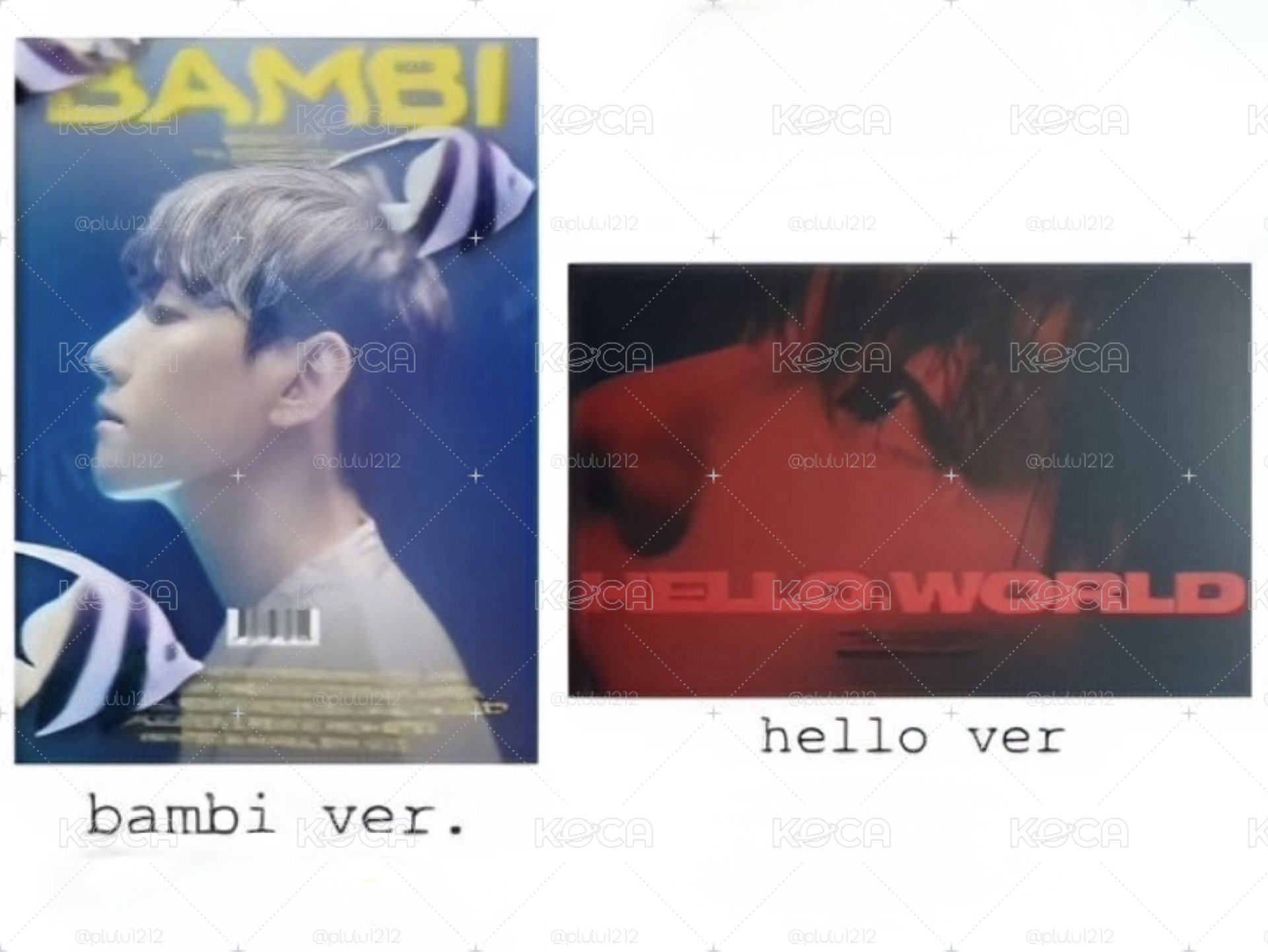 伯賢 Bambi Hello World 全專