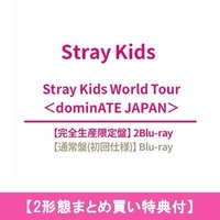 HMV通路：兩版合購「完全生產限定盤+初回通常盤」附SKZOO貼紙一張+明信片八張（HMV沒有附B款特典卡）